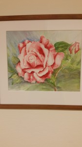 Ros, rosa   Akvarell
